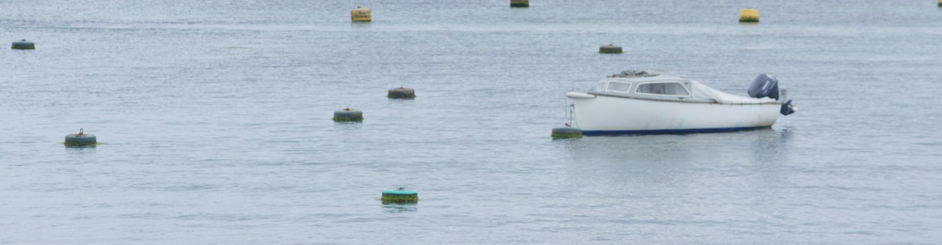 All boat Clevedon used over the weekend all on the beach outside of HQ