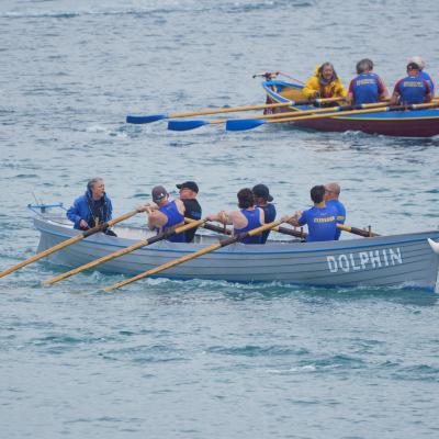 Dolphin and the Mens C crew mid race 